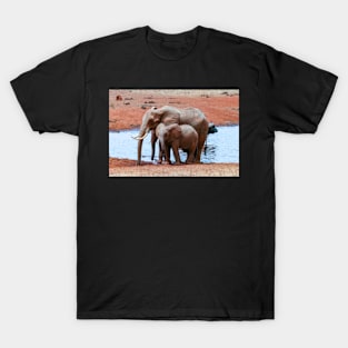 Mother and her Baby T-Shirt